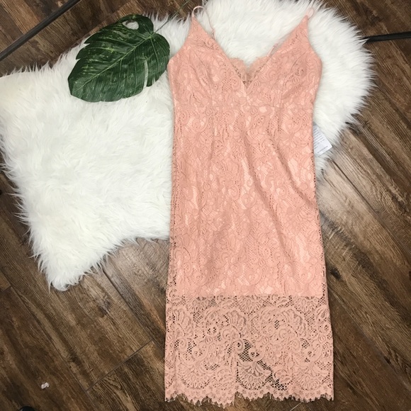 Bardot • Pink Lace Bodycon Pencil Midi Dress - Picture 3 of 8